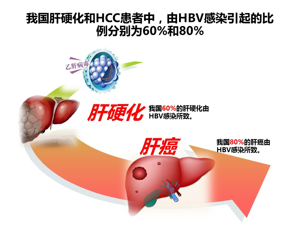 幻燈片5.JPG 幻燈片5.JPG