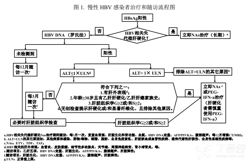 2019年版慢乙肝指南即將發布，抗病毒適應癥放寬啦！