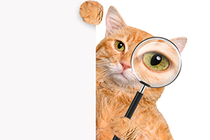 佛山各醫(yī)院檢查費(fèi)用約1300元左右