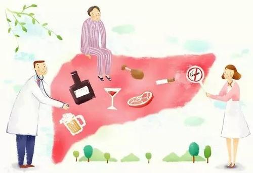 乙肝保健知識(shí)